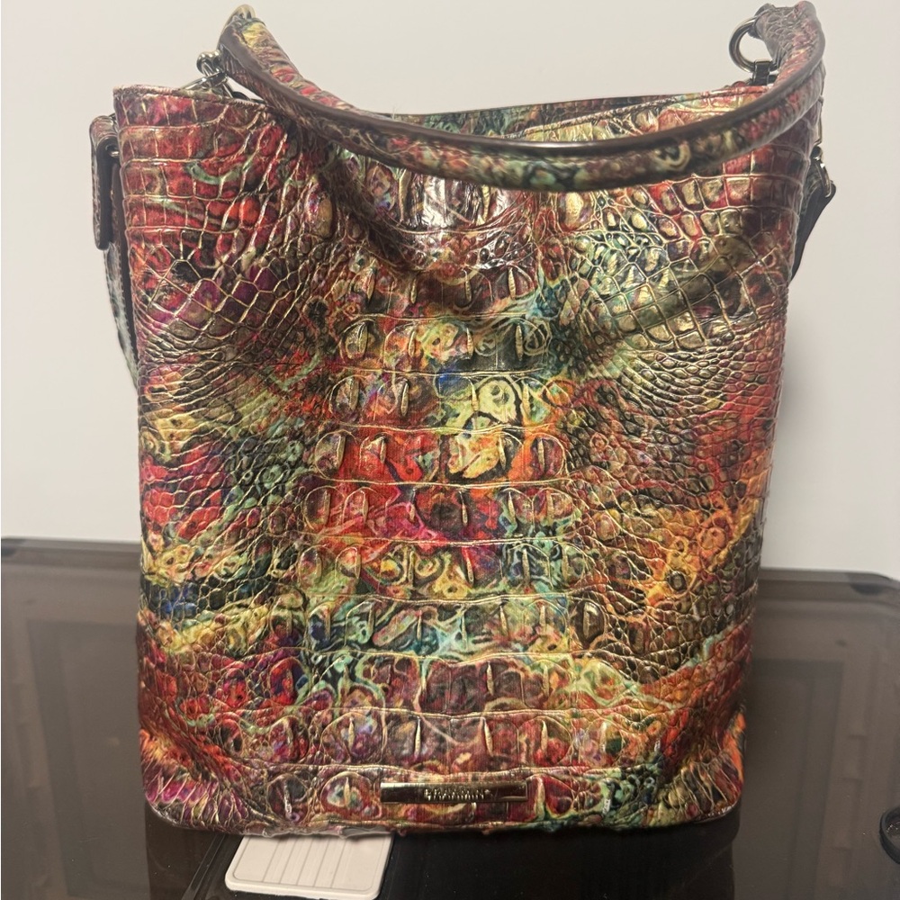 Brahmin Amelia